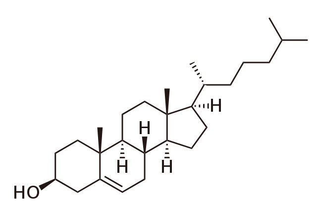 snel cholesterol verlagen